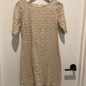 Banana Republic Tan Sheath Lace Dress Short Sleeve Bateau Neckline